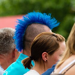 Rang: 25 von 59 Blauer Irokesenschnitt