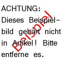 Beschreibung 2